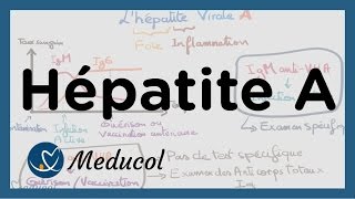 Hépatite A symptômes sérologie de lhépatite A vaccin et traitement [upl. by Nakasuji]