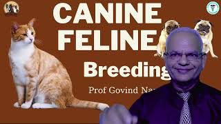 Canine and Feline Reproduction  Essential Guide by GNP Sir [upl. by Billye]