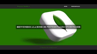 Demo BBDD con MongoDB [upl. by Surbeck57]