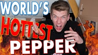 Tasting WORLDS HOTTEST PEPPER Challenge  Collins Key Taste Testing [upl. by Motch]