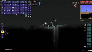 Killing witch calamity in terraria calamity mod hopefully [upl. by Nannaihr216]