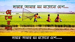 Hayre Amar Mon Matano Desh । হায়রে আমার মন মাতানো দেশ [upl. by Jempty161]