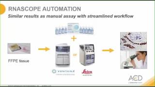 RNAscope® Assay Data Analysis 5232017 [upl. by Aicatsanna]