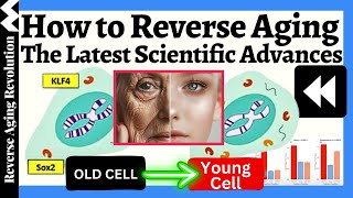 How to REVERSE AGING The Latest Scientific Advances [upl. by Remsen]