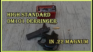 The High Standard DM101 Derringer in 22 Magnum [upl. by Araes]