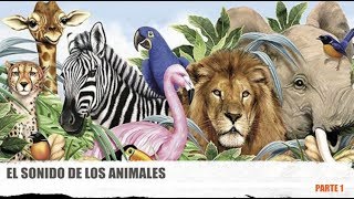 Aprendemos el sonidos de los animales para niños parte 1 [upl. by Duaner182]