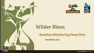 Wilder Blean  Baseline Monitoring Deep Dive [upl. by Seigler]