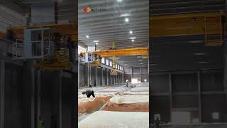 overhead crane overheadcrane shortsvideo [upl. by Ahtera183]