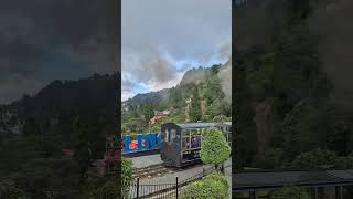 Darjeeling train 😍 darjeeling train toytrain toytrain india subscribe trending [upl. by Dreeda]