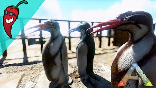 Taming Penguins for a Polymer Farm  Ark The Island Gameplay Ep17 [upl. by Anthea]