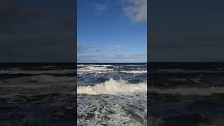 Strait of Magellan Punta Arenas Chile August 2023  travelshorts natureshorts waves [upl. by Gittle]