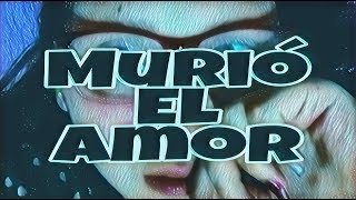 Murió el amor  Paola Jara cover  Dannis DM [upl. by Hamilton572]