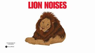 Lion Vocalisation Sound Effects Roar amp Growling  Free Download Royalty Free [upl. by Hsac]