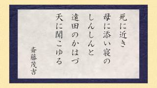 ナレーター那波一寿の「短歌朗読の広場」 サンプル１ 斎藤茂吉 [upl. by Sleinad]