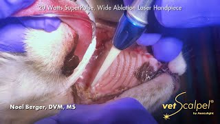 CO2 Laser Feline Stomatitis Treatment [upl. by Aytnahs749]