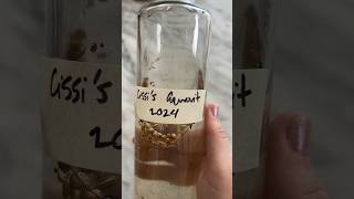 Homemade Aquavit  simple easy fun [upl. by Euqinom]