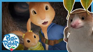 OfficialPeterRabbit  😢🐰 The Shrew Pranks Cottontail 🐰😢  Cartoons for Kids [upl. by Llennoj]