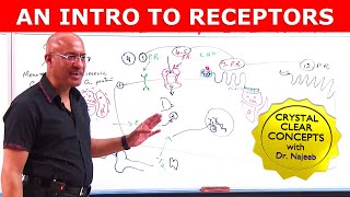 An Intro to Receptors  Types Structure amp Location  Part 1 [upl. by Oikim]