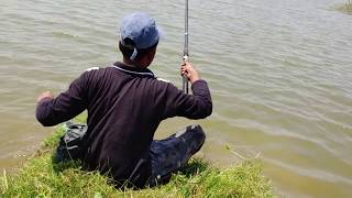 Fish catching  Fishing for Redbellied piranhaRoopchanda [upl. by Cheney]