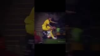 Emiliano Sala last goal☠️ footballedits viral footballshorts [upl. by Lubin]