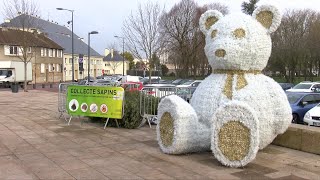 Yvelines  Le broyage de sapins  un geste écologique [upl. by Noreik]