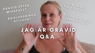 JAG ÄR GRAVID  QampA [upl. by Ellerred]