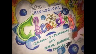 Glycerol3Phosphate and MalateAspartate Shuttles  Biological Chemistry  Video 10 [upl. by Elletse303]