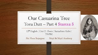 Our Casuarina Tree 12th English Stanza 5 Unit 2Samcheer Kalvi [upl. by Rubenstein]