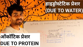 WHAT IS HYDROSTATIC AND ONCOTIC OR OSMOTIC PRESSURE इन हिंदी [upl. by Mukerji217]