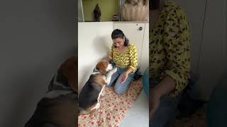 Ritu Maam with Joey🐶🐶  Ritu Rattewal neet2024 motivation study [upl. by Ialocin]