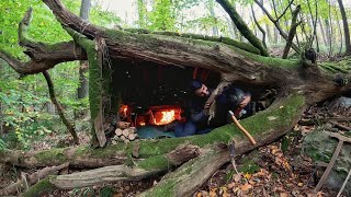 7 Days Solo Survival Camping In Rain Forest Building Warm Bushcraft Shelter Clay Fireplace Cooking [upl. by Gnivri]