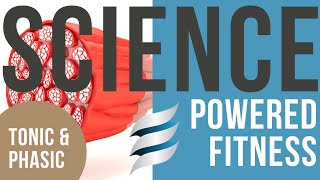 SciencePowered Fitness Lets talk about tonic and phasic muscles [upl. by Perusse934]