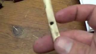 Make A Bird Bone Whistle [upl. by Allanson]