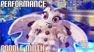 Poodle Moth Performs quotJust The Way You Arequot By Billy Joel  Masked Singer  S11 E3 [upl. by Anidene]