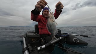 Kuşadası belly boat balık avıbellyboat bellyboatfishing bellyboatbalikavi [upl. by Trinl]