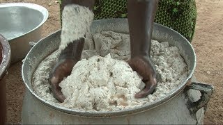 Making better shea butter Summary [upl. by Pernas]