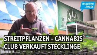 Streitpflanzen – CannabisClub in Aschheim verkauft Stecklinge [upl. by Petta]