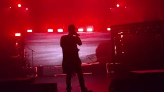 NF FORGETS THE LYRICS TO quotDREAMSquot LIVE  Starts Freestyling and amazes the audience  NF Perception [upl. by Esinereb]