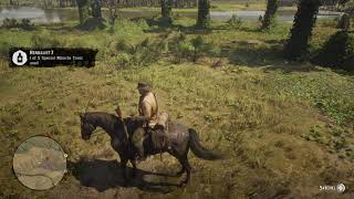 RDR 2 Herbalist Challenge 7  Use and remaining Special Miracle Tonics [upl. by Schilit]