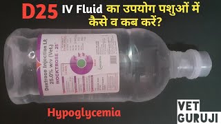 D25 Dextrose 25 IV Fluid का उपयोग पशुओं में कौन कौनसी बीमारियों में व कैसे करें Vet Guruji [upl. by Alexandra]