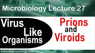 Prions and viroids [upl. by Gresham]