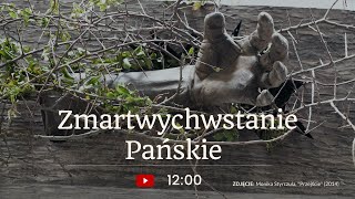 Msza Niedzieli Zmartwychwstania u Dominikanów z Łodzi  17042022 [upl. by Anigal]