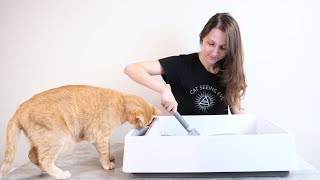 How to Clean Your Cats Litter Box Everything You Need to Know [upl. by Ahsitil]