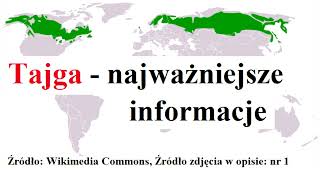 Tajga  najważniejsze informacje [upl. by Ajay]