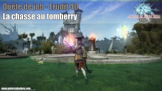 Final Fantasy XIV 20  Quête de job  Erudit 40  La chasse au tomberry [upl. by Bresee]