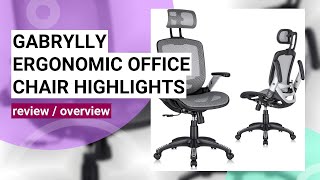 Gabrylly Ergonomic Office Chair Review Is It Worth the Hype [upl. by Ormiston]