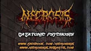 Necrosis  Catatonic Psychosis  OFFICIAL MUSIC VIDEO [upl. by Ebeohp140]