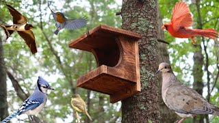 A Simple Nesting Platform  Attract More Birds [upl. by Ainatit]