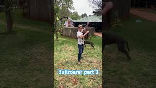 Part 2 of how a Bullroarer works indigenous [upl. by Nnalyrehc]