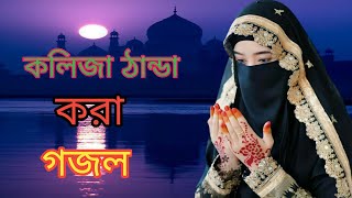 Bangla Gojol  নতুন গজল সেরা গজল  New Bangla Gazal 2023 Ghazal Gojol Islamic Gazal [upl. by Reave]